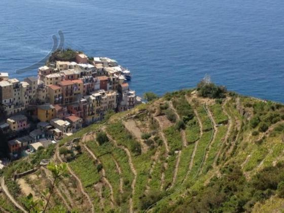 Appartamento Vacanze "Borgo Cinque Terre" Volastra Manarola Zewnętrze zdjęcie