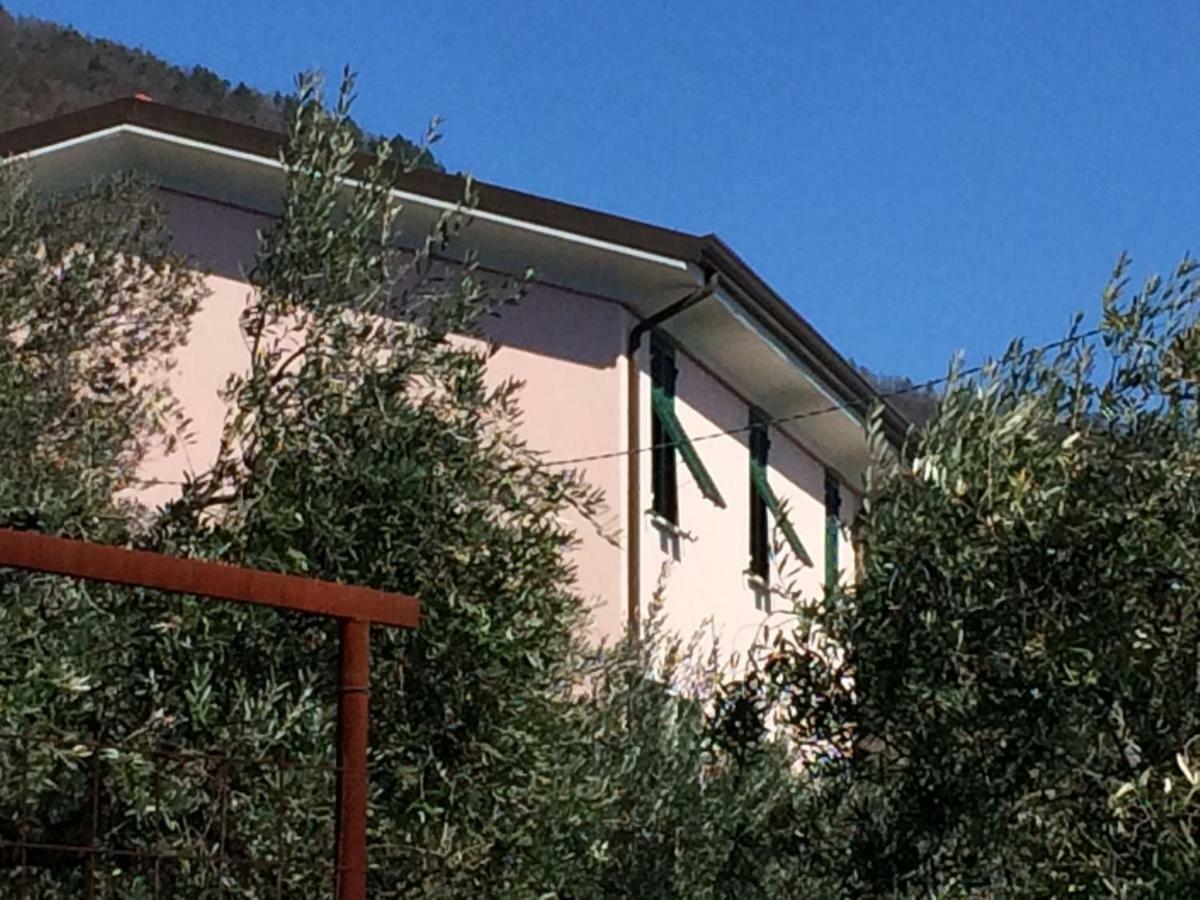 Appartamento Vacanze "Borgo Cinque Terre" Volastra Manarola Zewnętrze zdjęcie